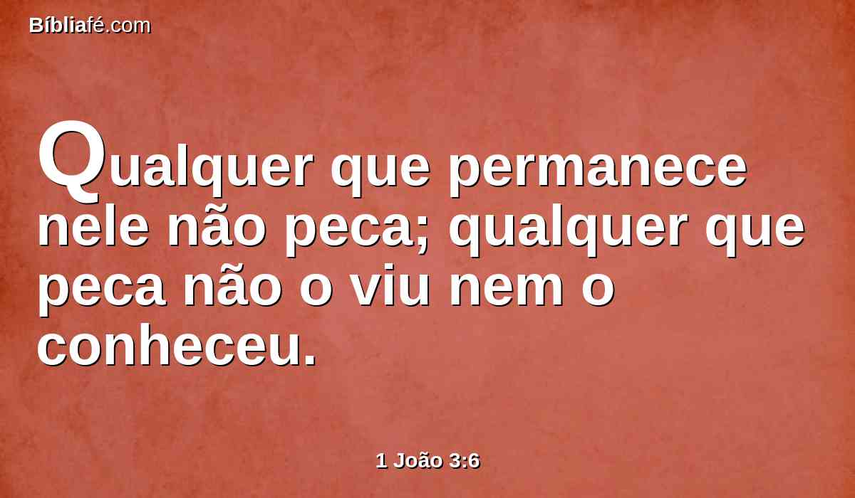 Qualquer que permanece nele não peca; qualquer que peca não o viu nem o conheceu.