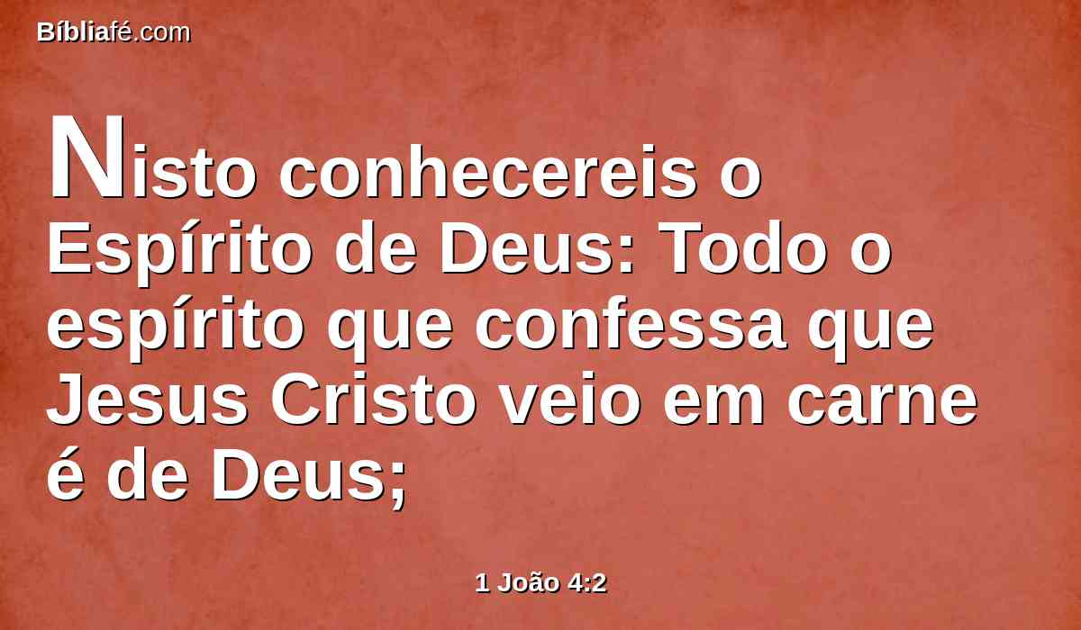 Nisto conhecereis o Espírito de Deus: Todo o espírito que confessa que Jesus Cristo veio em carne é de Deus;