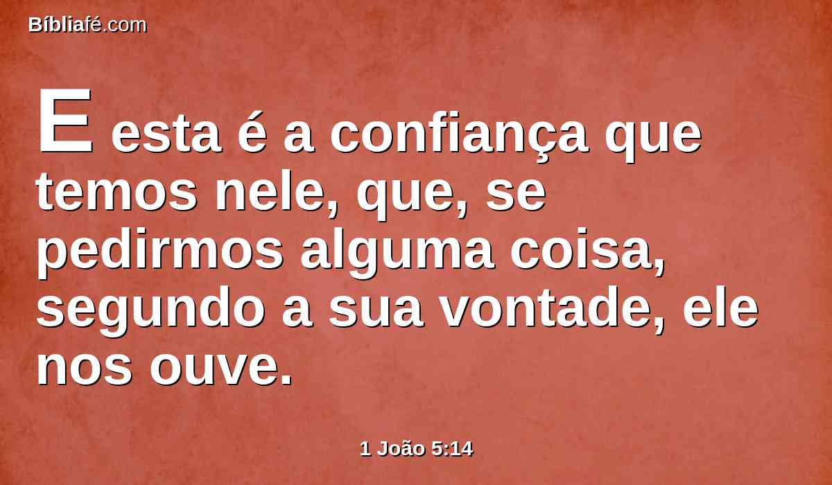 E esta é a confiança que temos nele, que, se pedirmos alguma coisa, segundo a sua vontade, ele nos ouve.