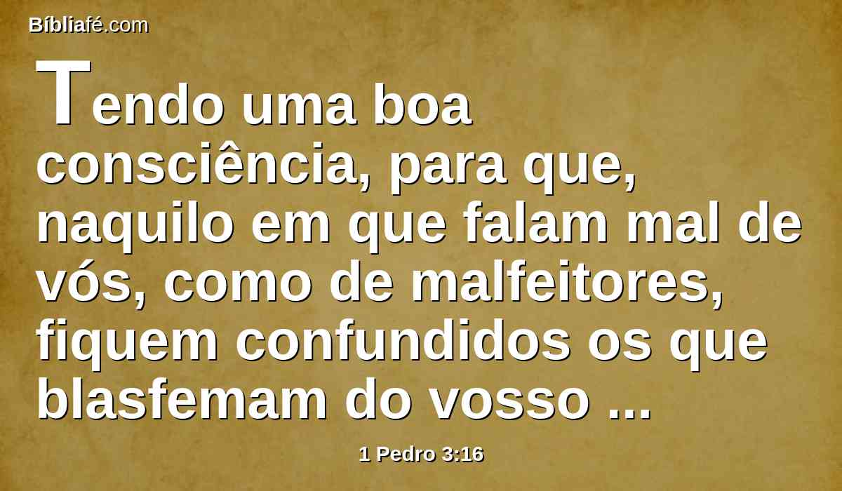Tendo uma boa consciência, para que, naquilo em que falam mal de vós, como de malfeitores, fiquem confundidos os que blasfemam do vosso bom porte em Cristo.