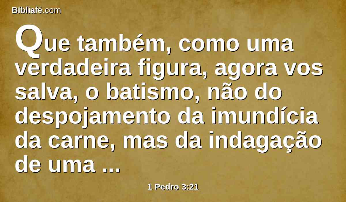 Que também, como uma verdadeira figura, agora vos salva, o batismo, não do despojamento da imundícia da carne, mas da indagação de uma boa consciência para com Deus, pela ressurreição de Jesus Cristo;