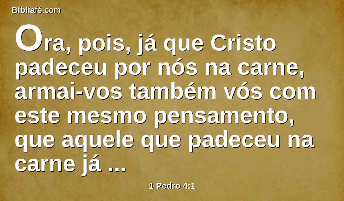 Ora, pois, já que Cristo padeceu por nós na carne, armai-vos também vós com este mesmo pensamento, que aquele que padeceu na carne já cessou do pecado;