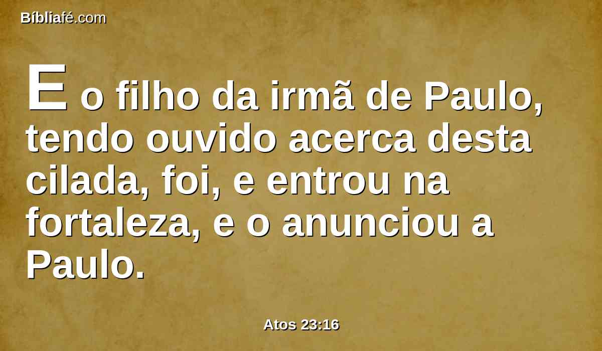 E o filho da irmã de Paulo, tendo ouvido acerca desta cilada, foi, e entrou na fortaleza, e o anunciou a Paulo.