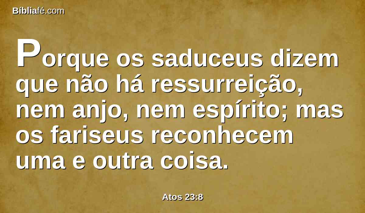 Porque os saduceus dizem que não há ressurreição, nem anjo, nem espírito; mas os fariseus reconhecem uma e outra coisa.