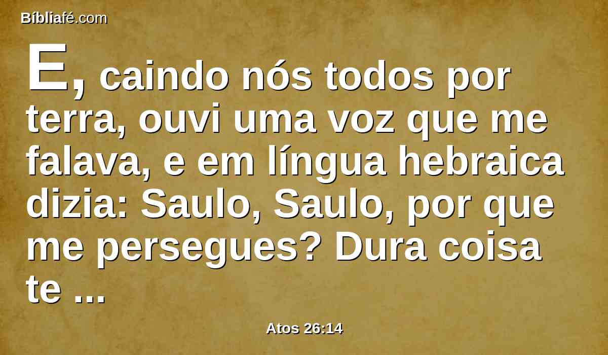 E, caindo nós todos por terra, ouvi uma voz que me falava, e em língua hebraica dizia: Saulo, Saulo, por que me persegues? Dura coisa te é recalcitrar contra os aguilhões.