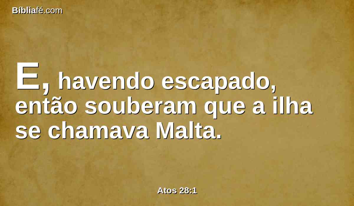 E, havendo escapado, então souberam que a ilha se chamava Malta.