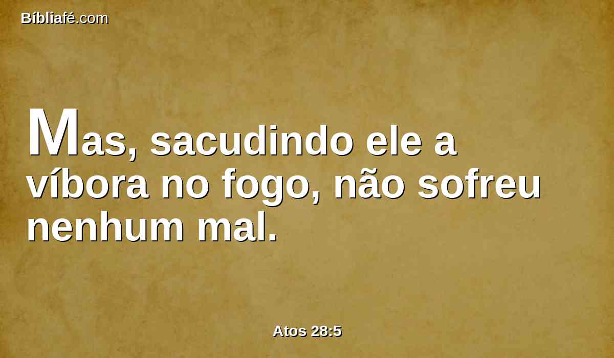 Mas, sacudindo ele a víbora no fogo, não sofreu nenhum mal.