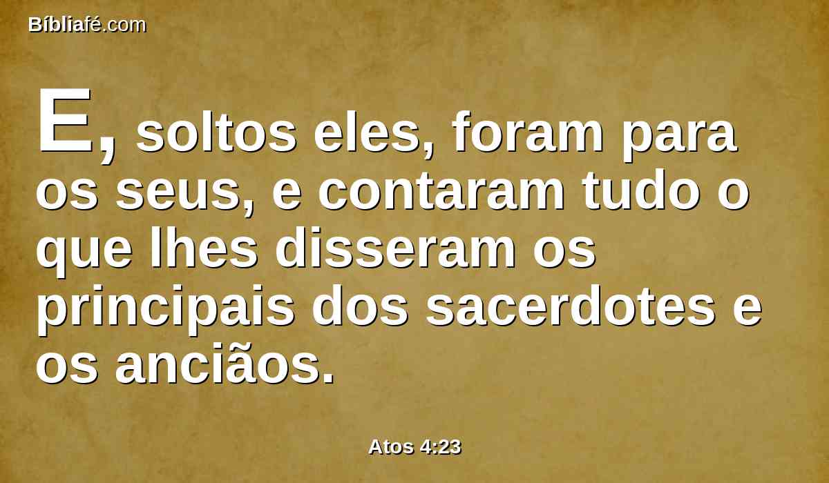 E, soltos eles, foram para os seus, e contaram tudo o que lhes disseram os principais dos sacerdotes e os anciãos.