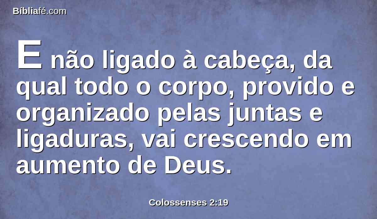 E não ligado à cabeça, da qual todo o corpo, provido e organizado pelas juntas e ligaduras, vai crescendo em aumento de Deus.