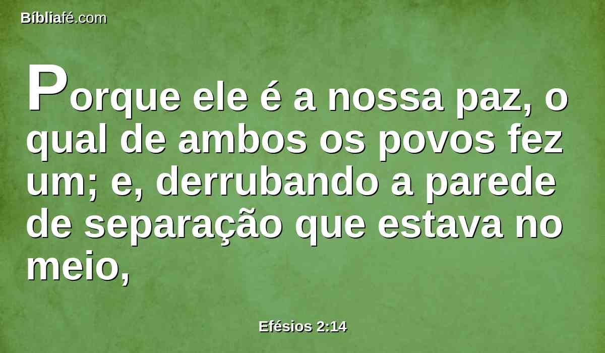 Porque ele é a nossa paz, o qual de ambos os povos fez um; e, derrubando a parede de separação que estava no meio,