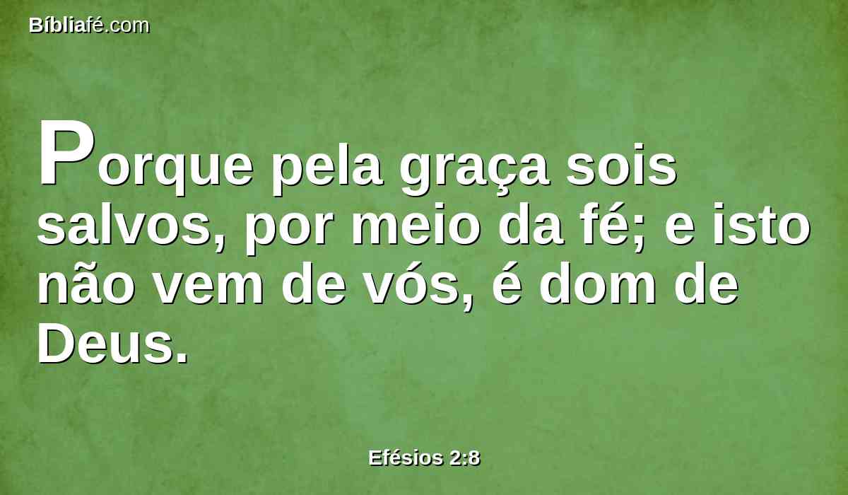 Porque pela graça sois salvos, por meio da fé; e isto não vem de vós, é dom de Deus.