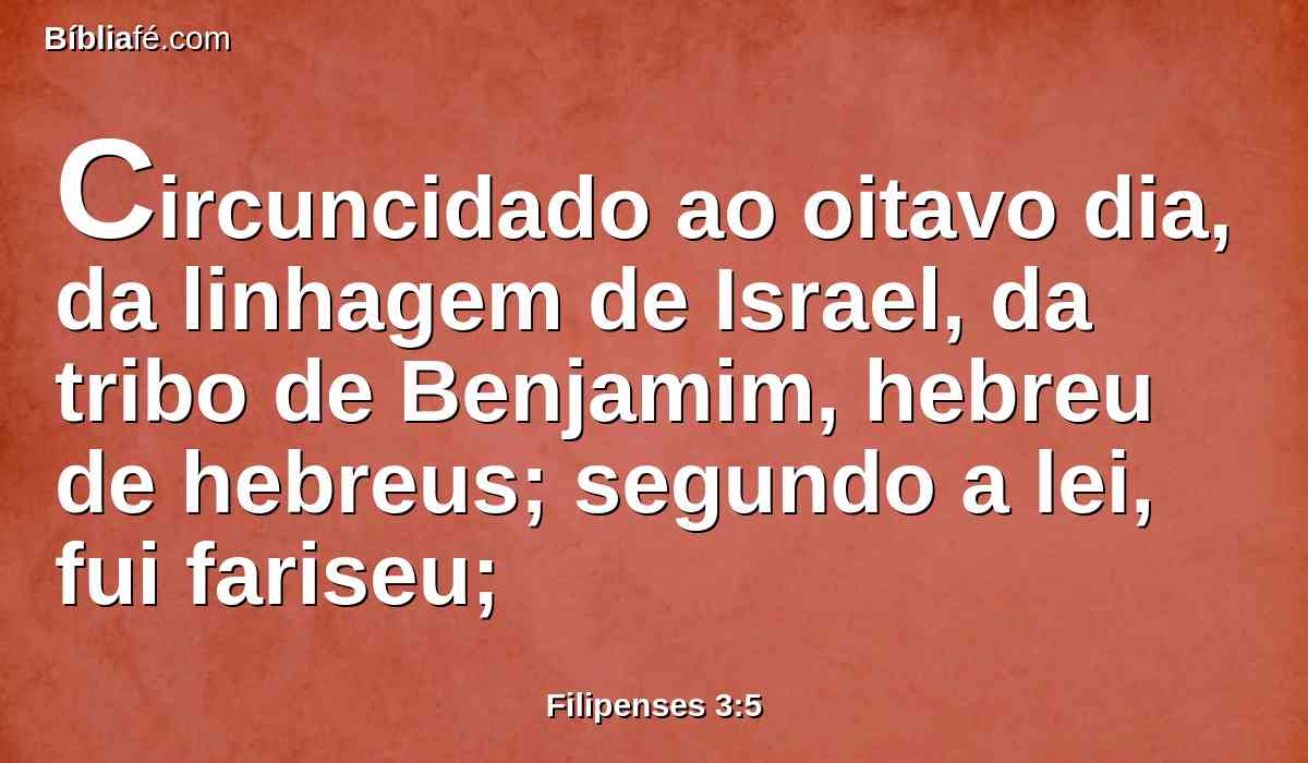 Circuncidado ao oitavo dia, da linhagem de Israel, da tribo de Benjamim, hebreu de hebreus; segundo a lei, fui fariseu;