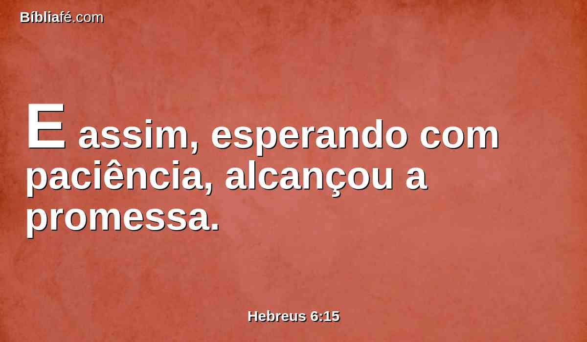 E assim, esperando com paciência, alcançou a promessa.