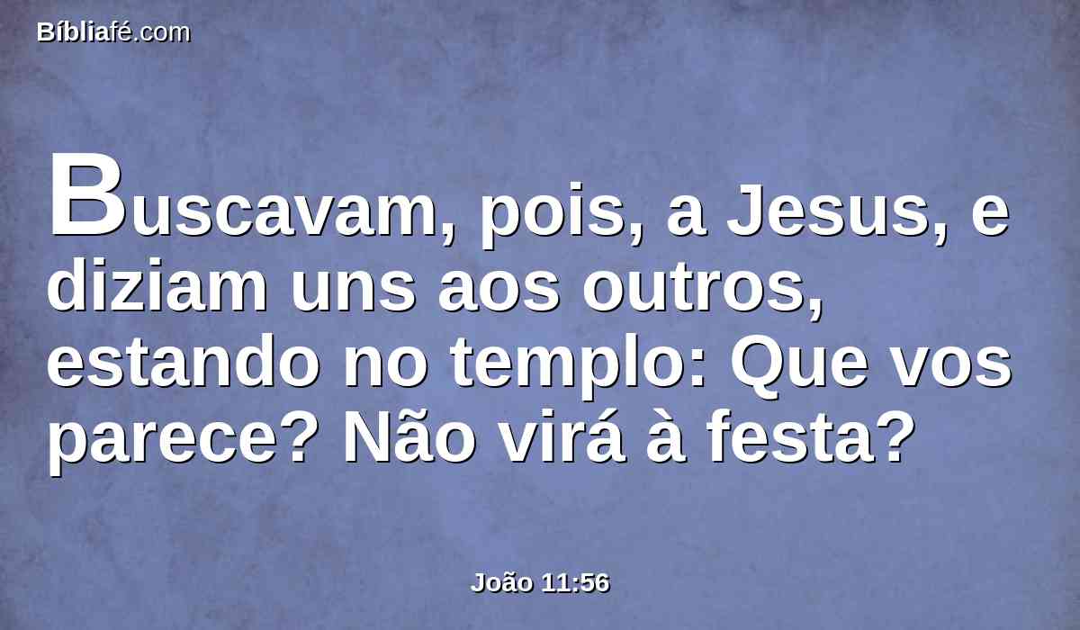 Buscavam, pois, a Jesus, e diziam uns aos outros, estando no templo: Que vos parece? Não virá à festa?
