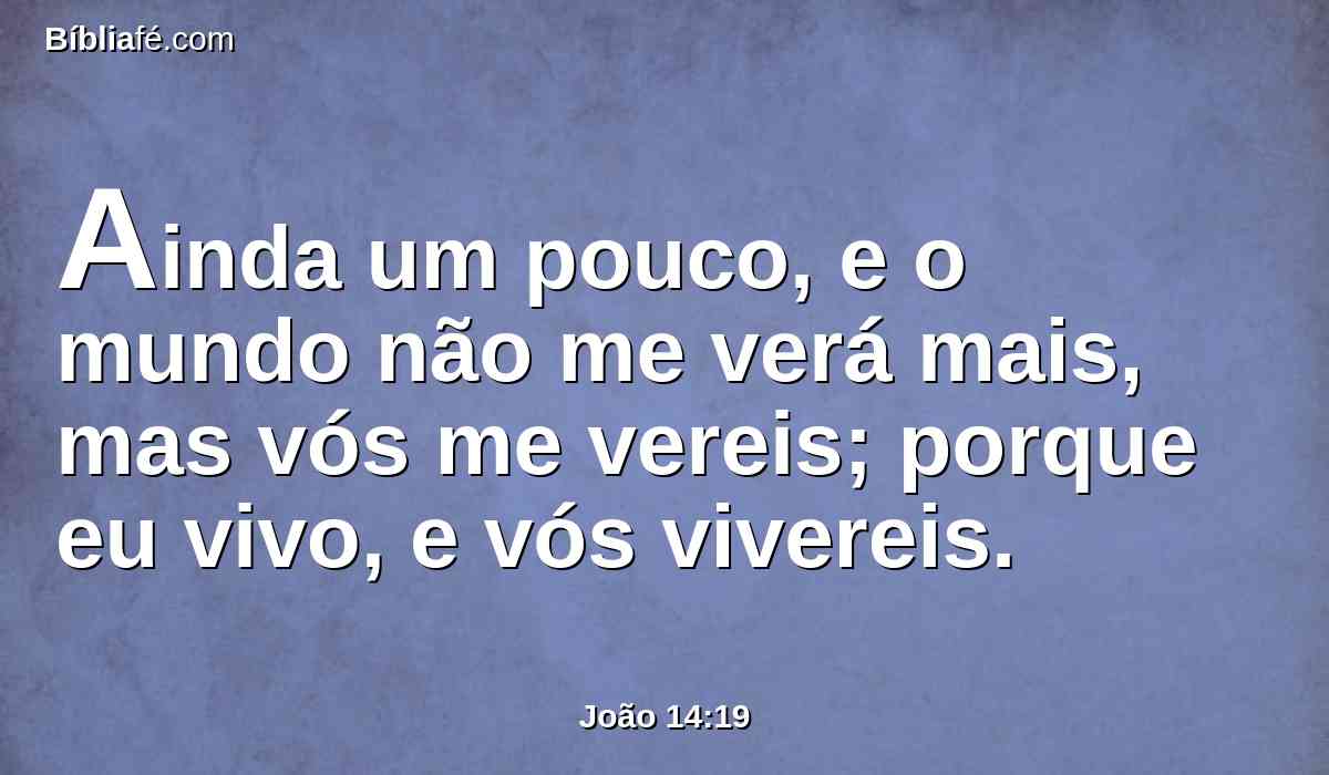 Ainda um pouco, e o mundo não me verá mais, mas vós me vereis; porque eu vivo, e vós vivereis.