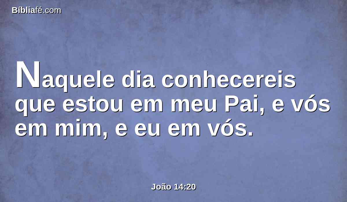Naquele dia conhecereis que estou em meu Pai, e vós em mim, e eu em vós.