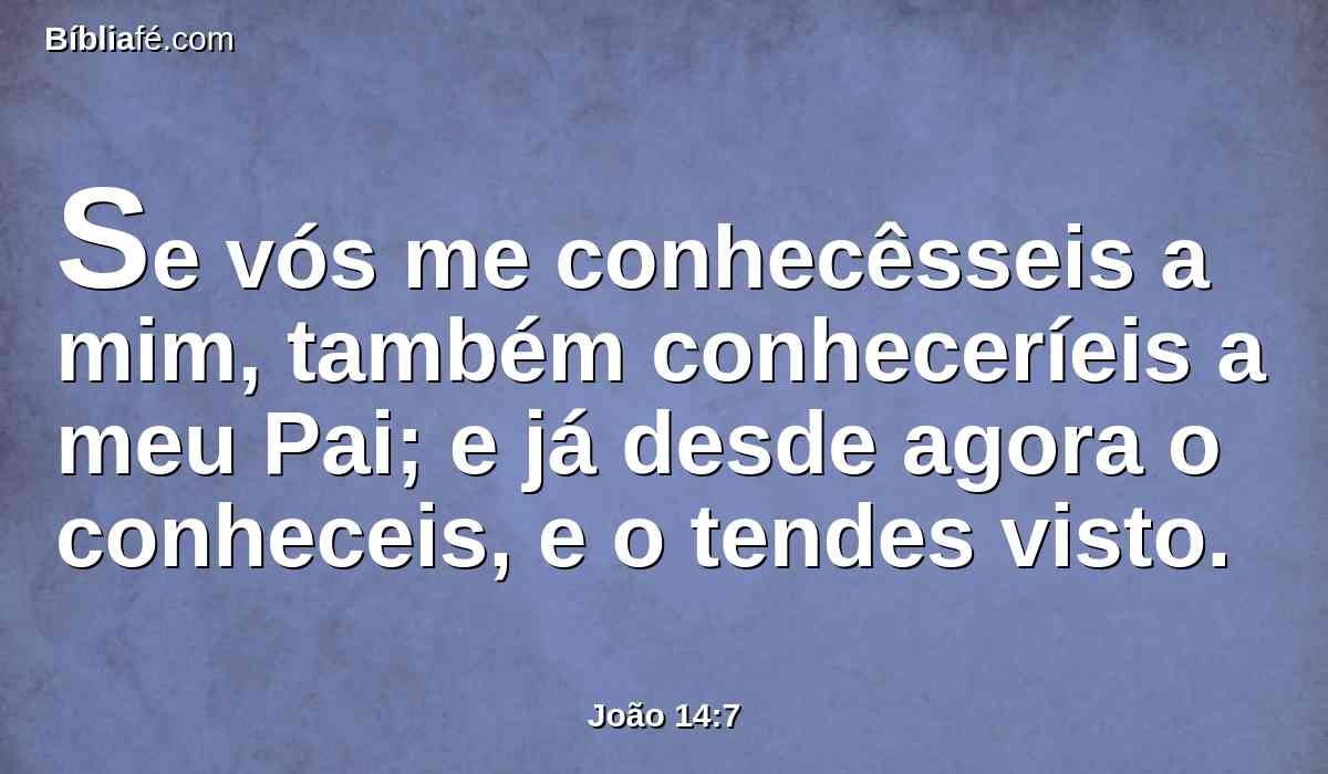 Se vós me conhecêsseis a mim, também conheceríeis a meu Pai; e já desde agora o conheceis, e o tendes visto.