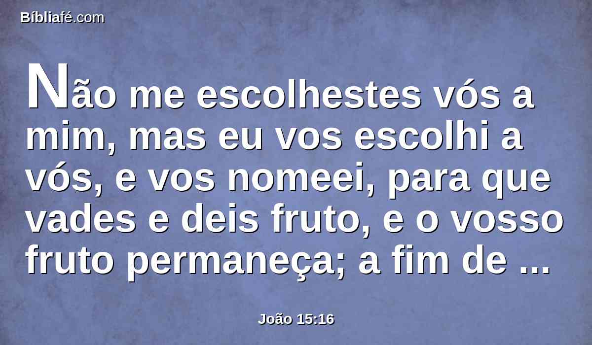 Não me escolhestes vós a mim, mas eu vos escolhi a vós, e vos nomeei, para que vades e deis fruto, e o vosso fruto permaneça; a fim de que tudo quanto em meu nome pedirdes ao Pai ele vo-lo conceda.