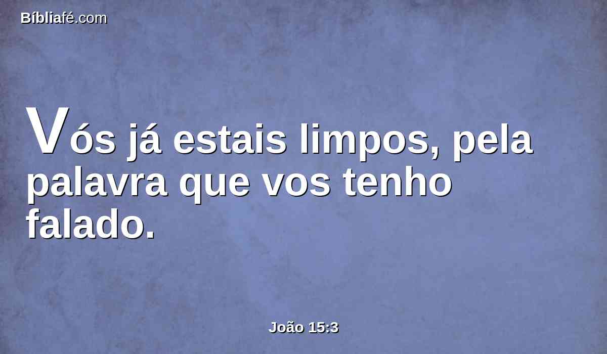 Vós já estais limpos, pela palavra que vos tenho falado.