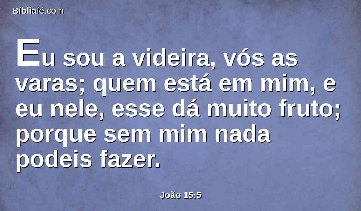 Eu sou a videira, vós as varas; quem está em mim, e eu nele, esse dá muito fruto; porque sem mim nada podeis fazer.