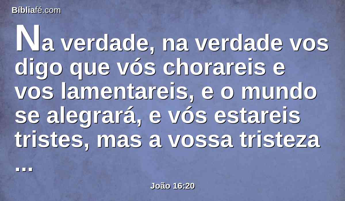 Na verdade, na verdade vos digo que vós chorareis e vos lamentareis, e o mundo se alegrará, e vós estareis tristes, mas a vossa tristeza se converterá em alegria.