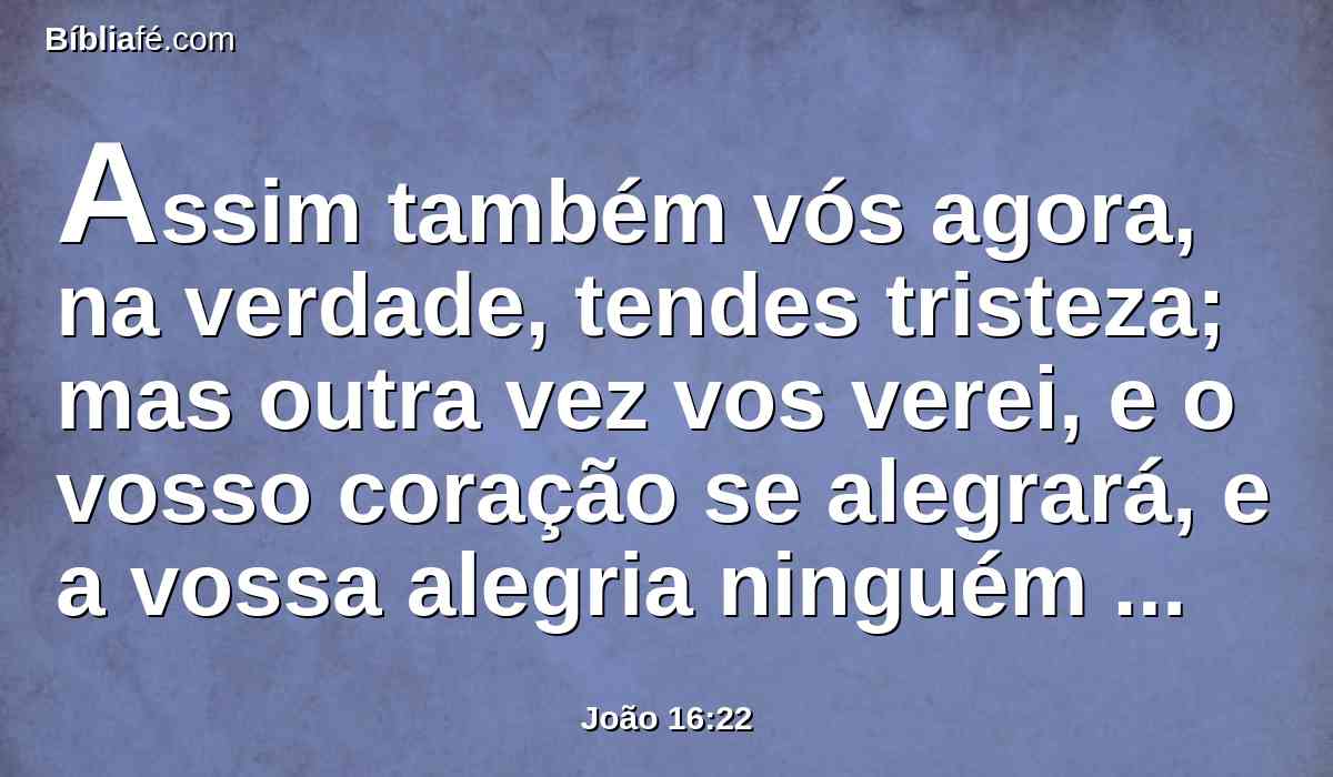 Assim também vós agora, na verdade, tendes tristeza; mas outra vez vos verei, e o vosso coração se alegrará, e a vossa alegria ninguém vo-la tirará.