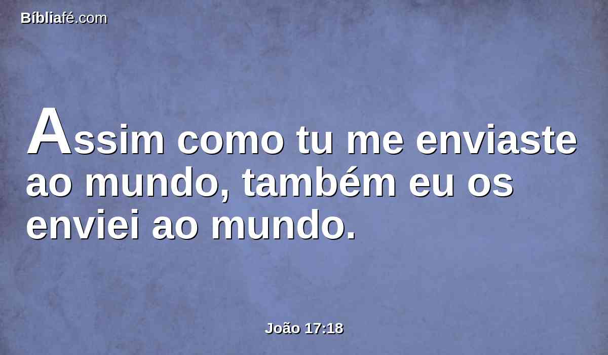 Assim como tu me enviaste ao mundo, também eu os enviei ao mundo.