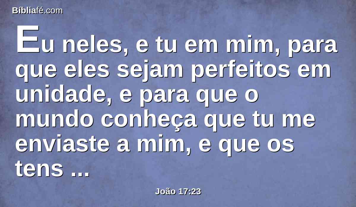 Eu neles, e tu em mim, para que eles sejam perfeitos em unidade, e para que o mundo conheça que tu me enviaste a mim, e que os tens amado a eles como me tens amado a mim.