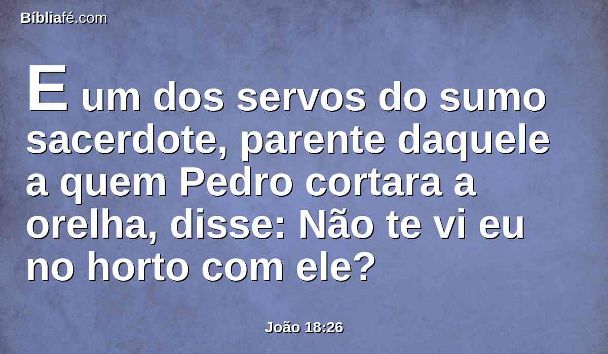 E um dos servos do sumo sacerdote, parente daquele a quem Pedro cortara a orelha, disse: Não te vi eu no horto com ele?