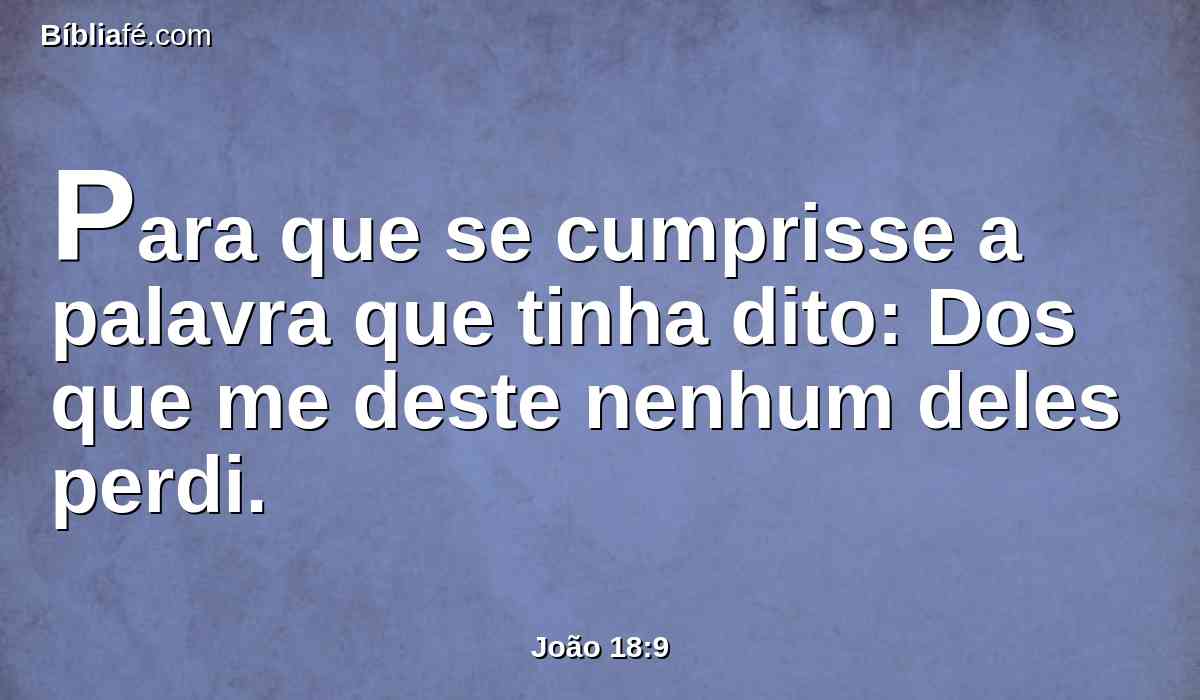 Para que se cumprisse a palavra que tinha dito: Dos que me deste nenhum deles perdi.