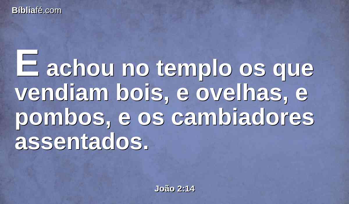 E achou no templo os que vendiam bois, e ovelhas, e pombos, e os cambiadores assentados.