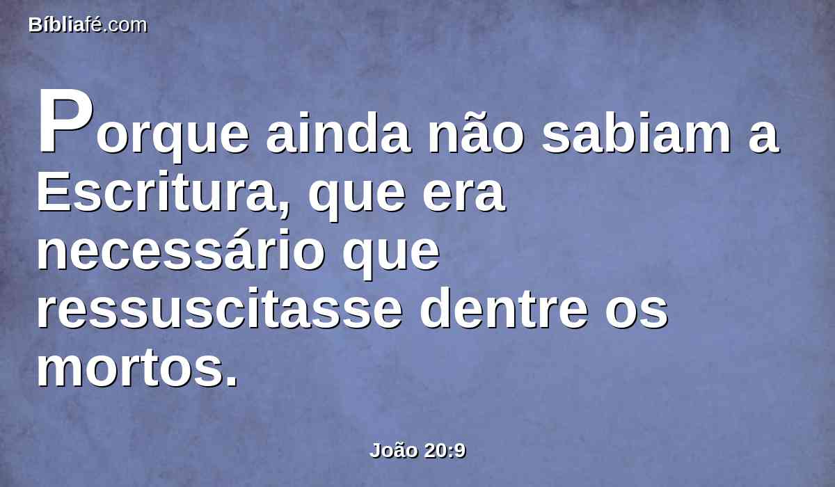 Porque ainda não sabiam a Escritura, que era necessário que ressuscitasse dentre os mortos.