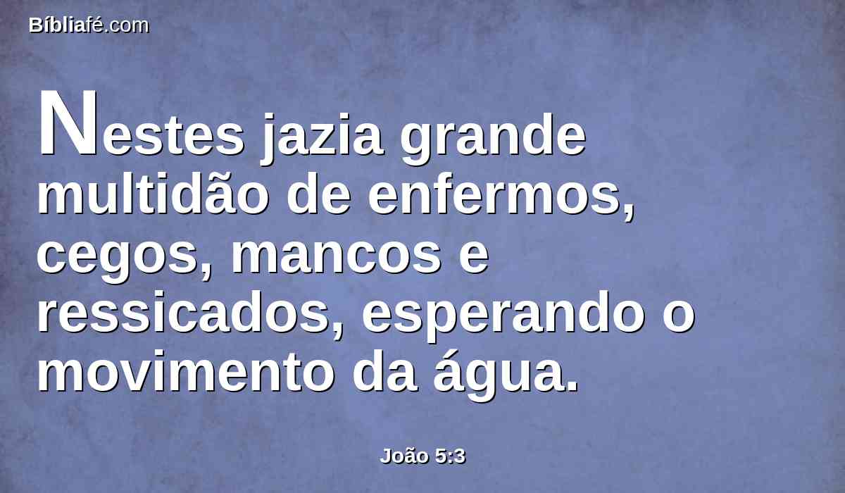 Nestes jazia grande multidão de enfermos, cegos, mancos e ressicados, esperando o movimento da água.