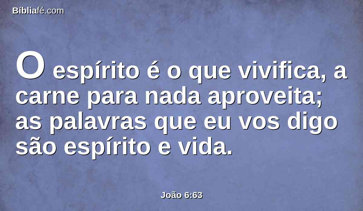 O espírito é o que vivifica, a carne para nada aproveita; as palavras que eu vos digo são espírito e vida.
