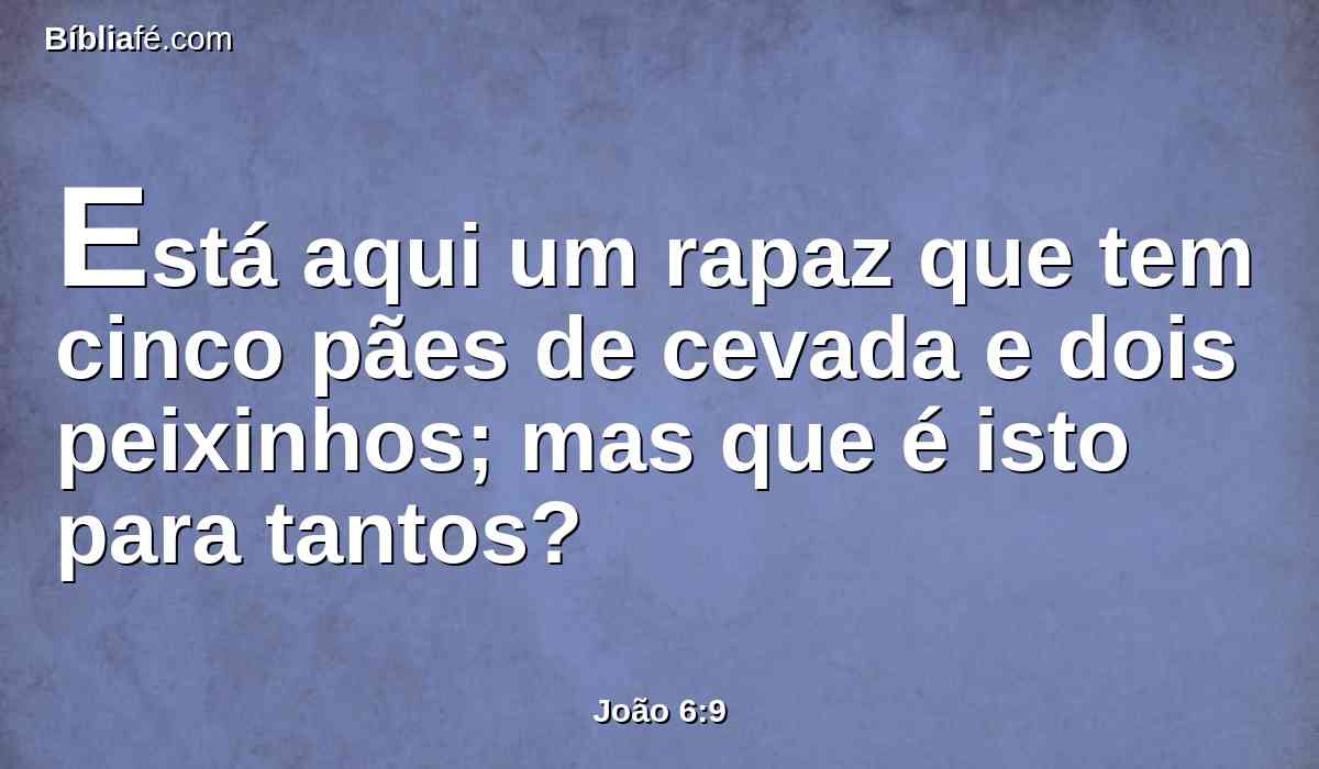 Está aqui um rapaz que tem cinco pães de cevada e dois peixinhos; mas que é isto para tantos?