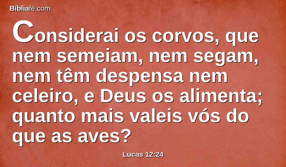 Considerai os corvos, que nem semeiam, nem segam, nem têm despensa nem celeiro, e Deus os alimenta; quanto mais valeis vós do que as aves?