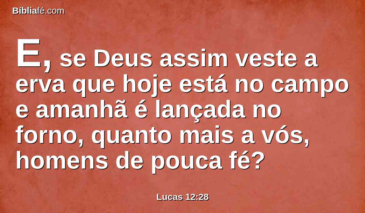 E, se Deus assim veste a erva que hoje está no campo e amanhã é lançada no forno, quanto mais a vós, homens de pouca fé?
