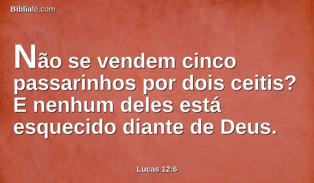 Não se vendem cinco passarinhos por dois ceitis? E nenhum deles está esquecido diante de Deus.