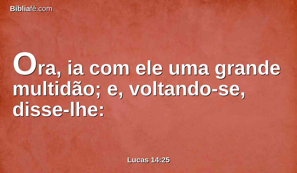 Ora, ia com ele uma grande multidão; e, voltando-se, disse-lhe: