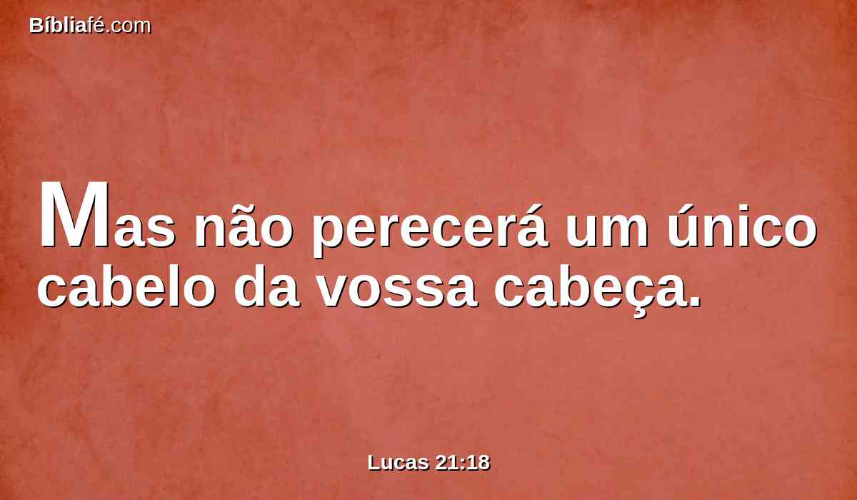 Mas não perecerá um único cabelo da vossa cabeça.