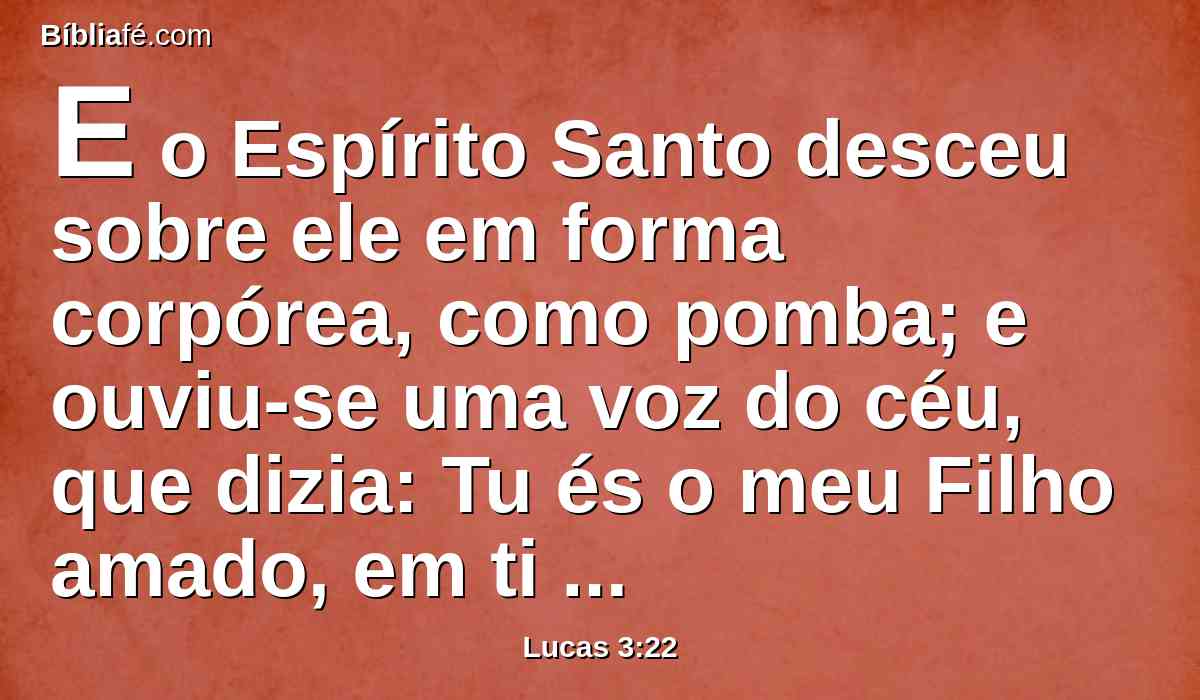 E o Espírito Santo desceu sobre ele em forma corpórea, como pomba; e ouviu-se uma voz do céu, que dizia: Tu és o meu Filho amado, em ti me comprazo.