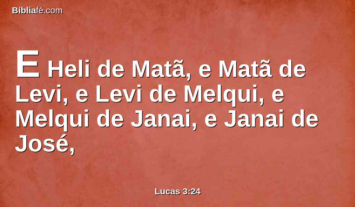 E Heli de Matã, e Matã de Levi, e Levi de Melqui, e Melqui de Janai, e Janai de José,