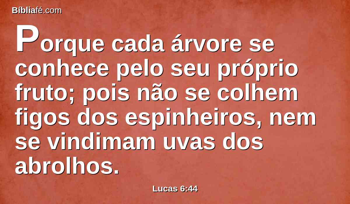 Porque cada árvore se conhece pelo seu próprio fruto; pois não se colhem figos dos espinheiros, nem se vindimam uvas dos abrolhos.
