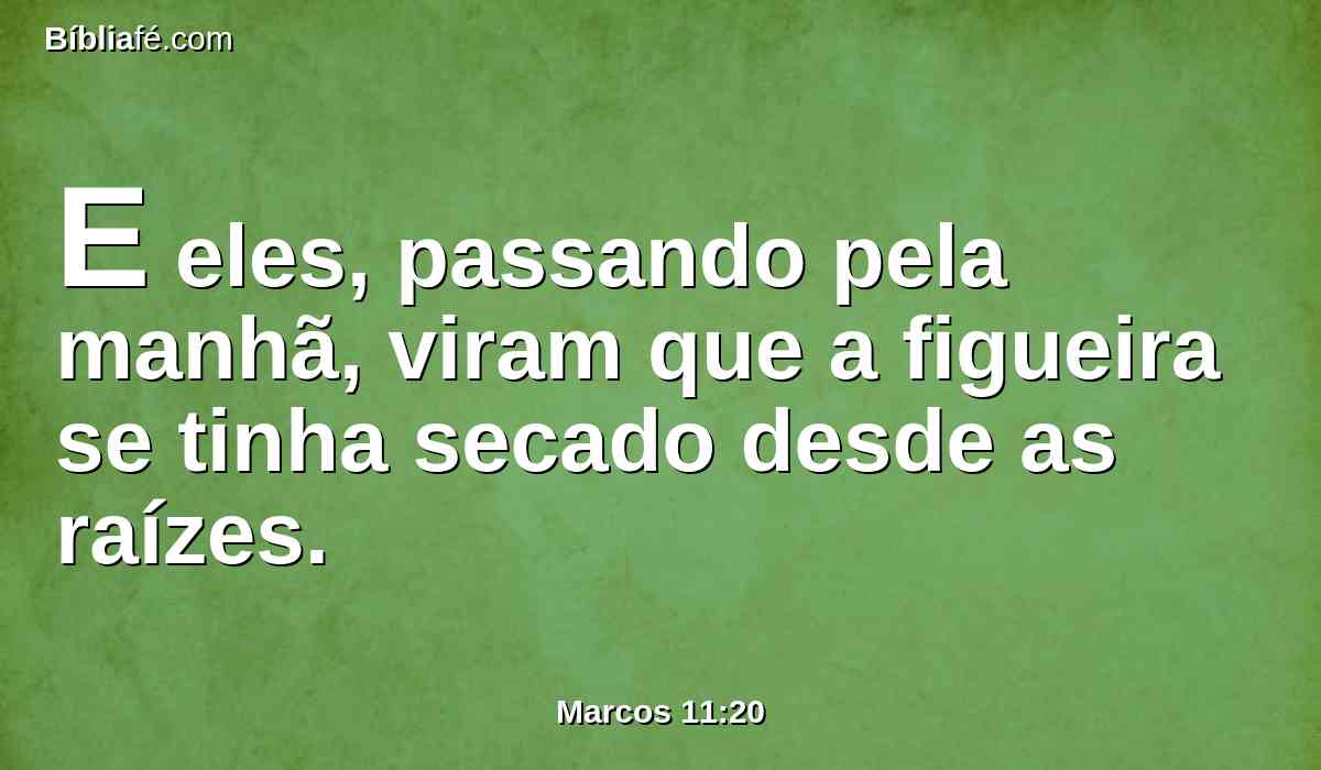E eles, passando pela manhã, viram que a figueira se tinha secado desde as raízes.