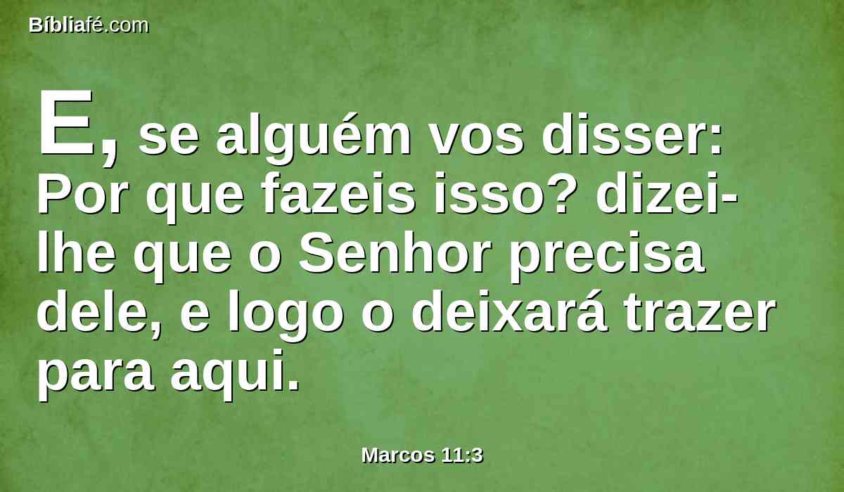 E, se alguém vos disser: Por que fazeis isso? dizei-lhe que o Senhor precisa dele, e logo o deixará trazer para aqui.