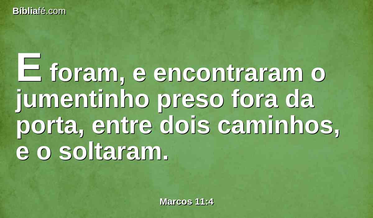 E foram, e encontraram o jumentinho preso fora da porta, entre dois caminhos, e o soltaram.