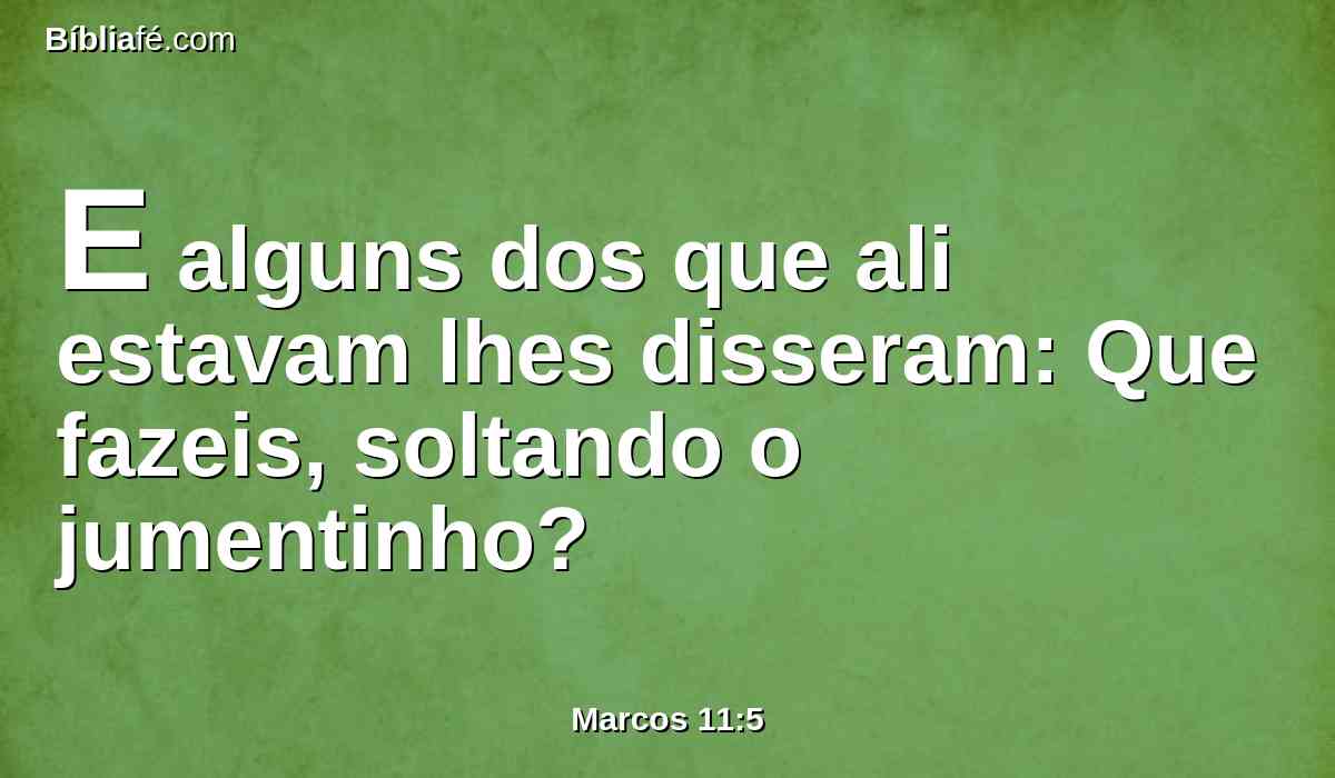 E alguns dos que ali estavam lhes disseram: Que fazeis, soltando o jumentinho?