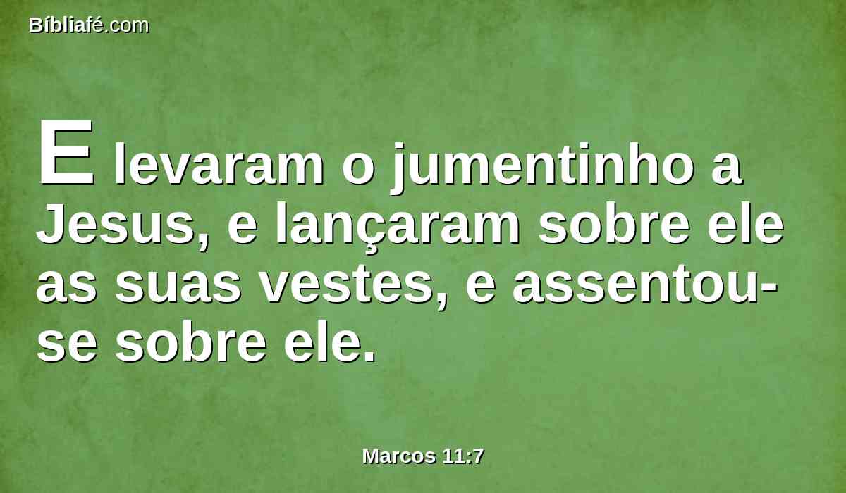 E levaram o jumentinho a Jesus, e lançaram sobre ele as suas vestes, e assentou-se sobre ele.