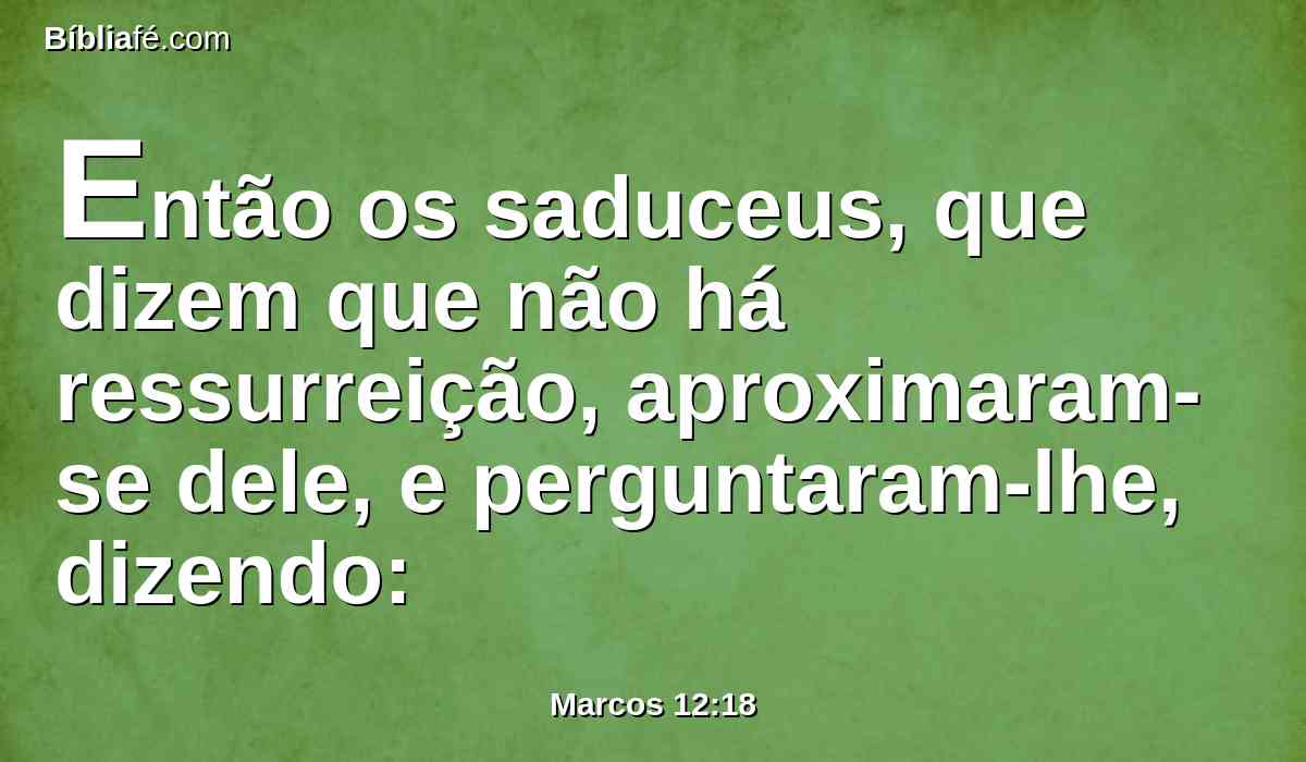 Então os saduceus, que dizem que não há ressurreição, aproximaram-se dele, e perguntaram-lhe, dizendo: