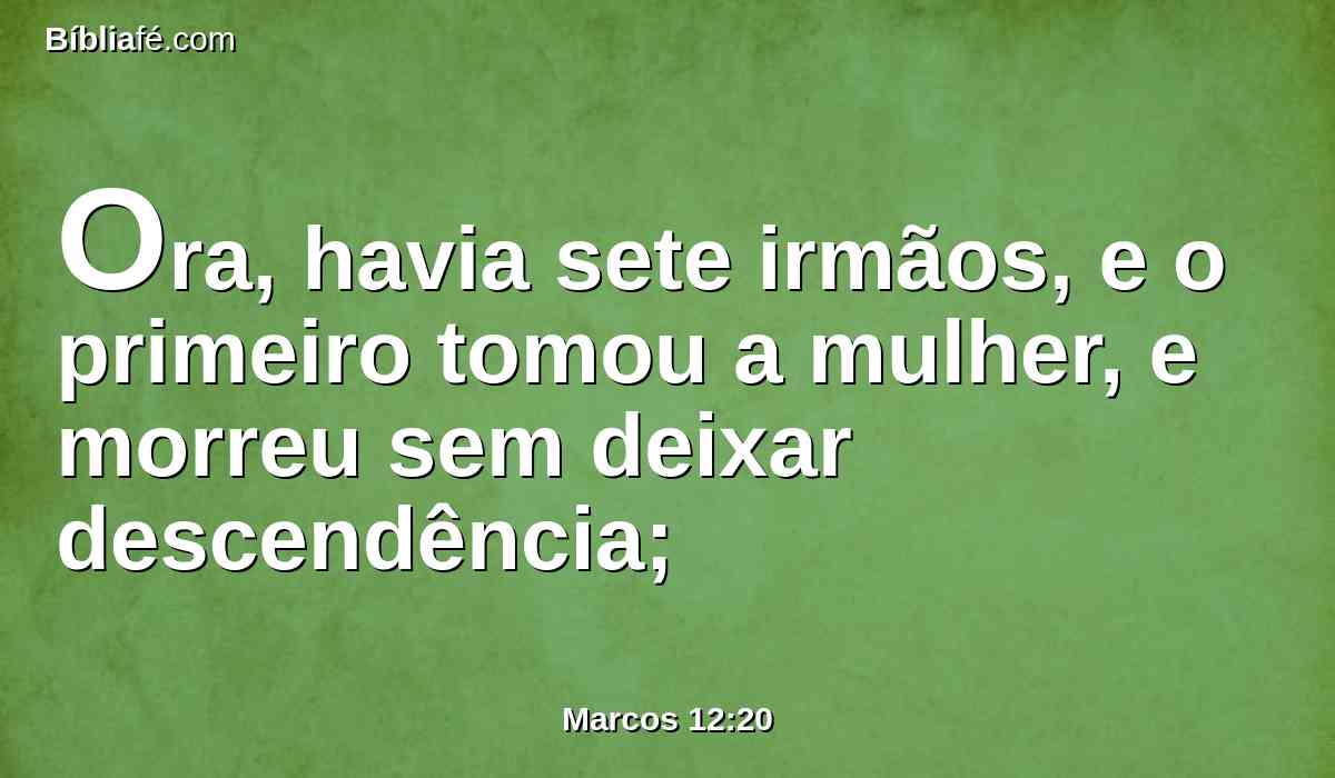 Ora, havia sete irmãos, e o primeiro tomou a mulher, e morreu sem deixar descendência;